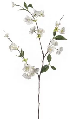 Produktbild von Smaragd Kunstliche Blume Pfirsichblute - 80 cm - creme