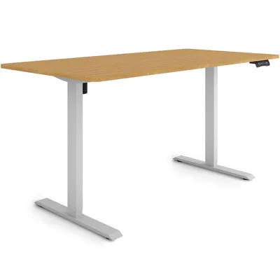 Produktbild von ESMART Germany ETX-121GBA 160 x 80 cm Bambus Nachbildung Ergonomischer Steh-Sitz-Schreibtisch Stufenlos elektrisch höhenverstellbar 73,5 - 123,5 cm 3x Memory Aktivitätserinnerung Soft-Start/Stopp Schnelle Montage