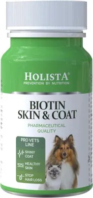 Produktbild von HOLISTA - Biotin Haut & Fell - 90 Tabletten.