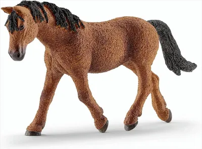 Produktbild von Schleich 13780 - Bashkir Curly Stute