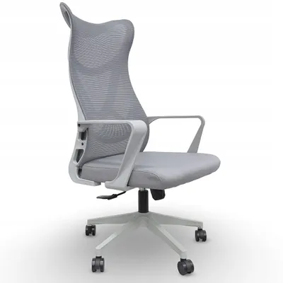 Zdjęcie produktu dla Krzesło biurowe ergonomiczne regulowane obrotowe KB113 szare