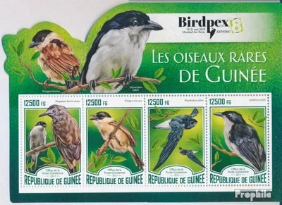 Produktbild von Briefmarken Guinea 2017 Mi 12516-12519 Kleinbogen (kompl. Ausgabe) postfrisch Seltene Vögel