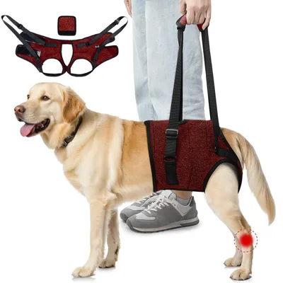 Immagine prodotto di Imbracatura regolabile per cani di taglia media e grande, con supporto ideale per cani anziani o con lesioni