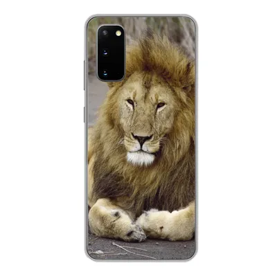 Produktbild von MuchoWow® Handyhülle Schutzhülle Hülle für Samsung Galaxy S20 Löwe - Afrika - Tier Silikon Softcase Handy Hülle - Bild
