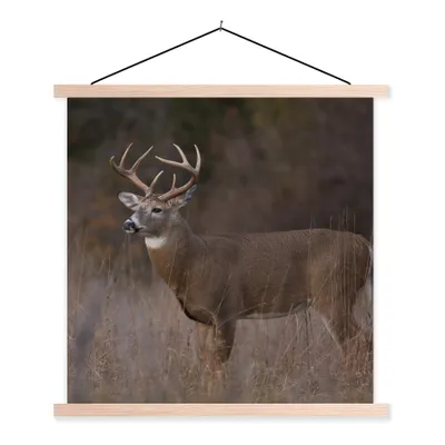 Produktbild von MuchoWow® Textilposter Herbst - Hirsche - Gras - Natur - Tiere 40x40 cm mit holzfarbenen Rahmen - Posterleiste