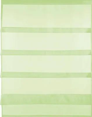 Produktbild von Gardine Raffoptik mit Stangendurchzug, Größe: 80x110cm, Farbe: Grün