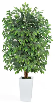Künstlicher Benjamini-Baum, 180 cm, groß
