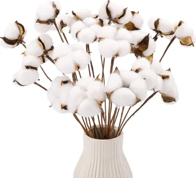 Produktbild von 20 Stück Baumwollstiele, künstliche Baumwollblumen, getrocknete Baumwollstäbchen, Pflanzen, Bauernhausdekorationen für die Vase, Heimdekoration
