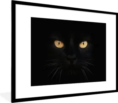 Produktbild von MuchoWow® MuchoWow® Gerahmtes Poster Nahaufnahme einer schwarzen Katze 80x60 cm - Poster mit zchwarzem Bilderrahmen - Schlafzimmer-Dekorationen - Fotoposter