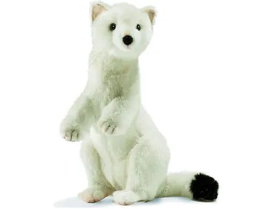 Produktbild von Hansa Toy 4860 Hermelin weiß 28 cm Kuscheltier Plüschtier