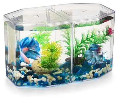 Obrázok produktu pre Akvarium pre bojovky s pohyblivou priehradkou