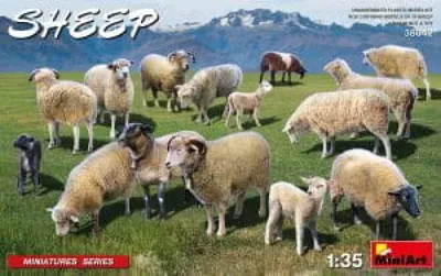 Obrázok produktu pre Ovce