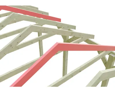 Obrázek produktu pro Zpevnění pro vyšší sněhovou zátěž SKAN HOLZ 3,0 kN/m² pro přístřešky Wallgau 430 x 600 cm impregnovaný