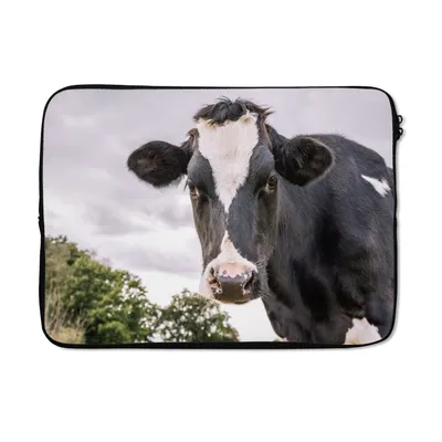 Produktbild von MuchoWow® Laptop Hülle 14 ZollKuh - Tier - Porträt - Schwarz Laptoptasche - Laptoptasche - Stoßsicher - Schutzhaube
