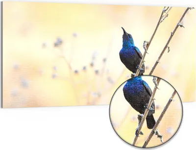 Produktbild von DEQORI Hybrid Leinwand Bild 100x50 cm 'Blaues Funkeln' Wandbild Glas flach modern