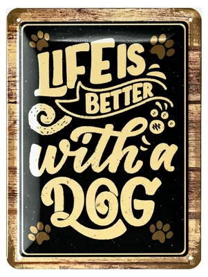 Produktbild von Retro Blechschild Hund - DAS LEBEN IST BESSER MIT EINEM HUND - Deko für Hundeliebhaber - Vintage Metallschild für Garten und Küche 15x20cm