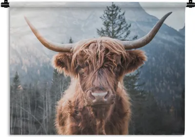 Produktbild von MuchoWow® Wandteppich Wandbehang Schottischer Hochländer - Kuh - Tiere - Berg - Natur 150x112.50 cm Tapisserie Dekoration Wandtuch - Wanddecke - Wandteppiche