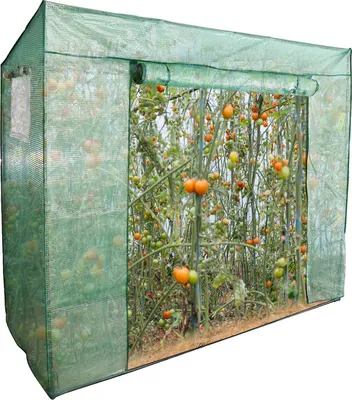 Produktbild von EINFEBEN Foliengewächshaus Gewächshäuser Treibhaus frühbeet gardebruk Tomatenhaus Pflanzenhaus Grün 200*80*170CM