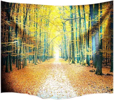 Productafbeelding van Wandkleed Bospad - Wandtapijt Muurdecoratie - Muren Aankleden - Hoge Resolutie Afdruk - 130 x 153 cm - Herfstkleuren