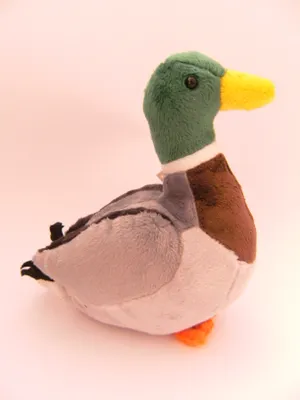 Produktbild von Plüschtier Ente 20cm, Stofftiere Kuscheltiere Wildente Erpel Vogel Vögel