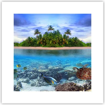 Produktbild von Poster - Poster ohne Rahmen - Strand lagune wasser ozean - 30x30 cm - Wand Bild - Wanddeko - Wandbilder - Kunstposter - Wandposter - Bilder - Kunstdruck - Wanddekoration - Wandbild - P2XAC30x30-2686