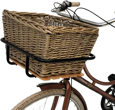 Produktbild von VDP - Bundle - Frontgepäckträger 1 Strebe + Fahrradkorb Rattan 36L Beige Basil (EAST_BLG-078R_BLON84912481) BLG-078R_BLON84912481