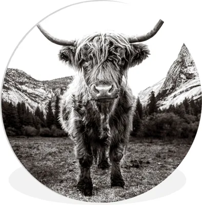 Produktbild von MuchoWow® Rundes Wandbild - Runde Bilder Berg - Schwarz - Weiß - Schottischer Highlander Ø 60 cm Kreis Wanddekoration Kunststoff - Wandkreis - Wandschmuck - Wand Kreis - Das Schlafzimmer - Die Bilder - Wandmalerei - Kunst für das Haus - das Plastik