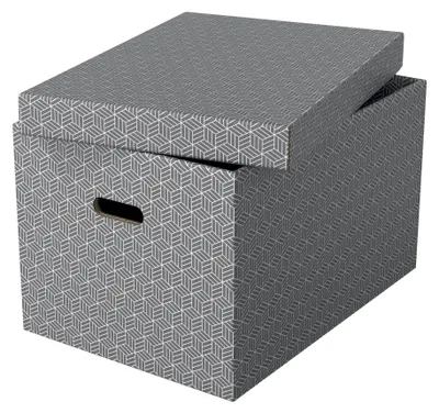 Immagine prodotto di Esselte 628287 3 Esselte Home Aufbewahrungsboxen 50,0 l grau 35,5 x 51,0 x 30,5 cm