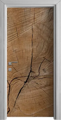 Produktbild von Tür Selbstklebende 90x210 cm Türfolie Türtapete Klebefolie - Holz Stamm