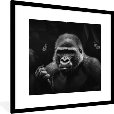 Produktbild von MuchoWow® Gerahmtes Poster Tiere - Affe - Gorilla - Schwarz - Weiß 40x40 cm - Poster mit Schwarzem Bilderrahmen Wandposter Rahmen Foto Bilder - Poster - Plakat im Rahmen