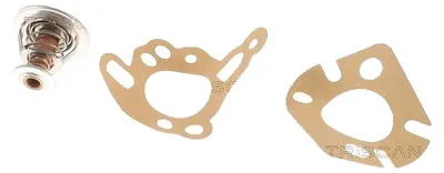 Image de Thermostat pour