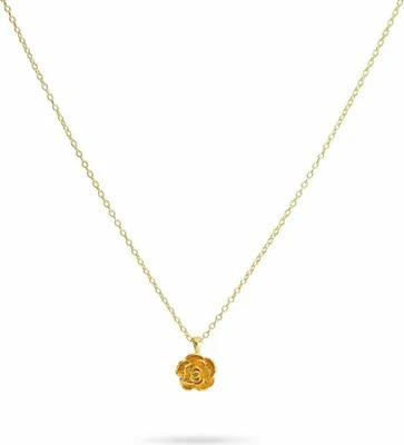 Immagine prodotto di Collana da donna 24KAE
