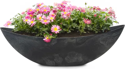 Produktbild von Große Pflanzschale oval 66 cm für draussen Dekoschale schwarz