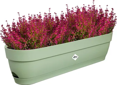 Produktbild von Balkonkasten Elho Vibia Campana Kunststoff 69 x 18,2 x 17 cm pistazie