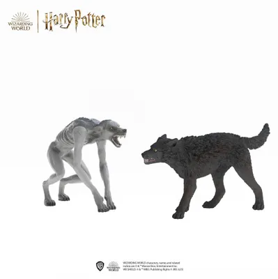 Obrázek produktu pro schleich Harry Potter 14906, 6 rok/roky, Harry PotterTM, Vícebarevný, Plast