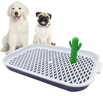 Image de Solidchoice - Toilettes pour chiens, grande taille, faciles à nettoyer