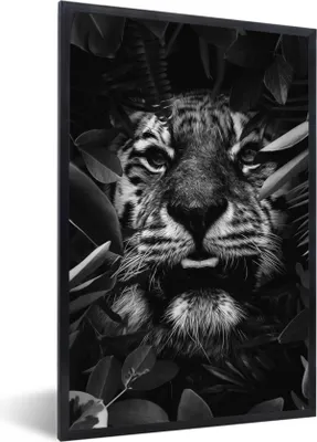 Produktbild von MuchoWow® Gerahmtes Poster Tiger zwischen den Pflanzen - schwarz und weiß 60x90 cm - Poster mit Schwarzem Bilderrahmen Wandposter Rahmen Foto Bilder - Kunst