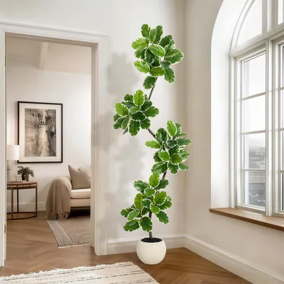 Zdjęcie produktu dla Sztuczny Fikus Sprężysty (Ficus Elastica) 210 cm - Biały – Realistyczna Roślina Doniczkowa do Domu, Biura i na Taras, Bez Pielęgnacji