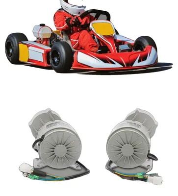 Immagine prodotto di Motore a trasmissione senza spazzole, potenza di 350W, versatile e adatto a diverse applicazioni nei veicoli elettrici
