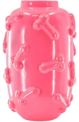 Immagine prodotto di Vaso Housevitamin Dick Rosa 27 Cm