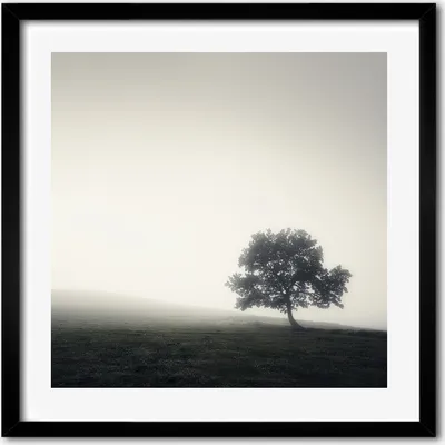 Produktbild von Bild - 50 cm x 50 cm - MDF - Rahmen, Wandkunst - Ein einsamer Baum