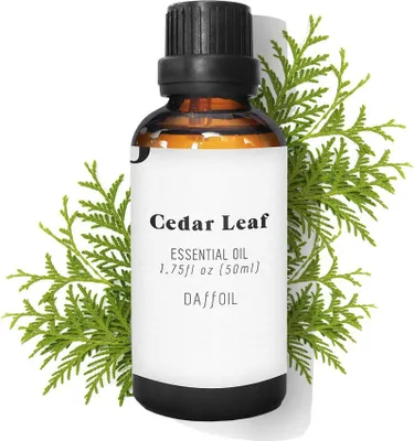 Produktbild von ÄTHERISCHES Zedernblattöl 50 ml