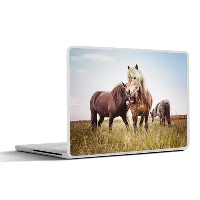 Produktbild von MuchoWow® Laptop Aufkleber Sticker Cover Pferde - Gras - Frühling 30x22 cm - Laptop-Sticker