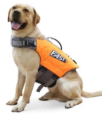 Productafbeelding van Zwemvest - Hond - Verstelbaar - Signaaloranje - Groot