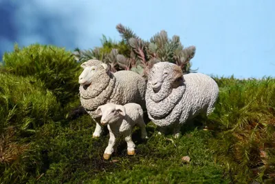 Immagine prodotto di Papo Farm Life Pecora Merinos 51175
