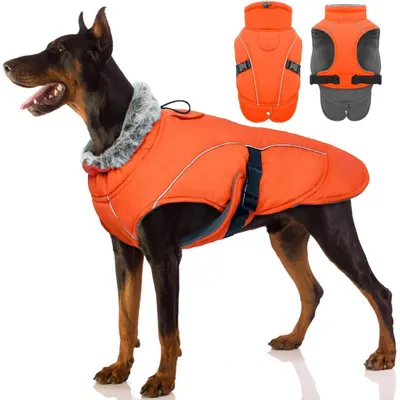 Produktbild von Hundemantel Winter Orange XL Wasserdicht Warm Fleece Reflektierend mit Leinenöffnung