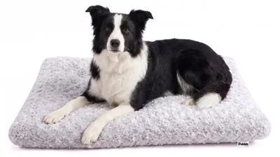 Produktbild von Pebble Hundematte 90 x 60 cm – weiches Hundekissen aus Plüsch, waschbar, Grau (L)