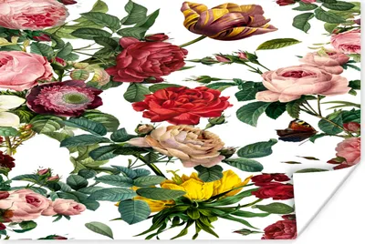 Produktbild von MuchoWow® Poster Blumen - Rot - Rosa - Weiß 180x120 cm - Fotoplakat