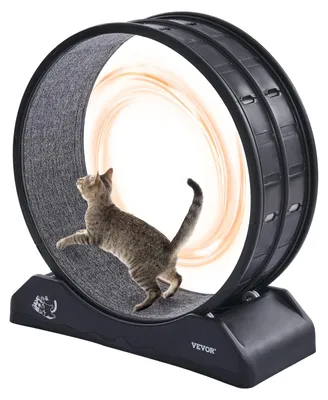 Produktbild von Katzenrad – Spielrad für Katzen – Laufrad für Katzen – Trainingsrad für Katzen – Fitnessrad für Katzen – 74 cm Durchmesser