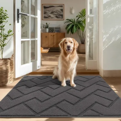 Obrázek produktu pro Vnitřní rohož proti skluzu - Rohož na zachycení nečistot - Absorbující vodu - Pratelná - 80 x 100 cm